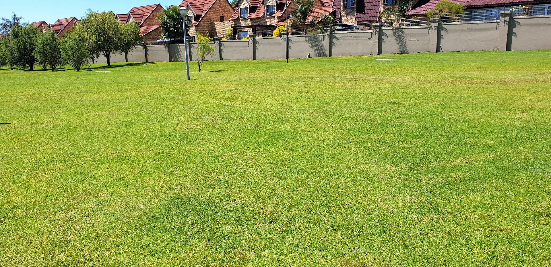 732374_2.jpg